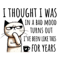 I Thought I Was In a Bad Mood Women's T-Shirt