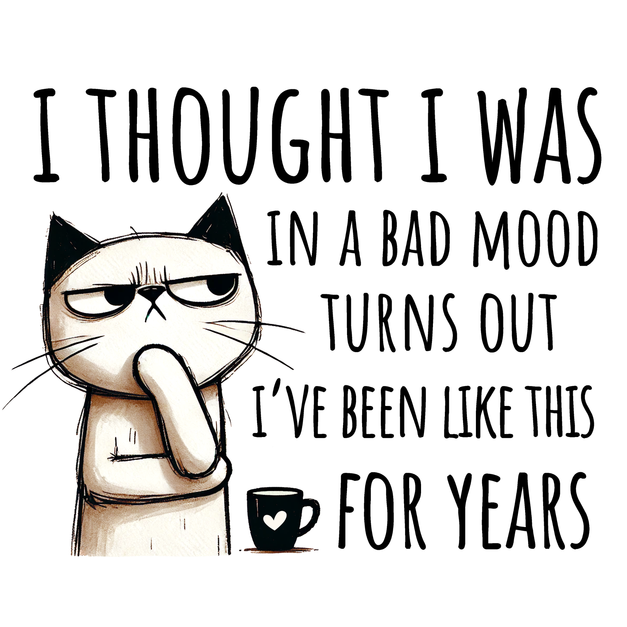 I Thought I Was In a Bad Mood Women's T-Shirt