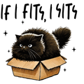 If I Fits I Sits Women's T-Shirt